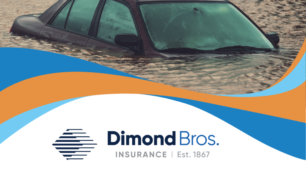 Reporting Flood Damage for Insurance