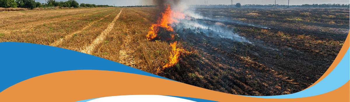 The Unsung Hero of Farming Operations: Crop Hail Insurance with Fire Coverage 