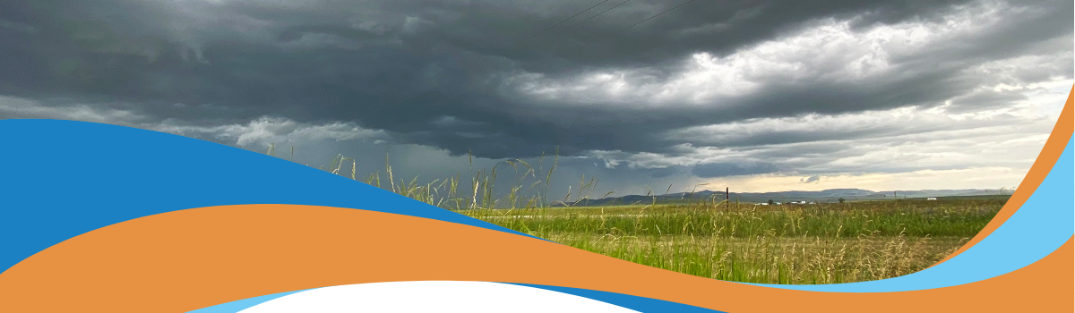 Been Impacted by a Storm? What’s Next…