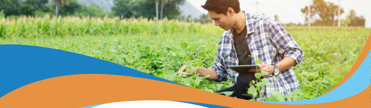 The Advantages of Precision Data for Crop Insurance for Farmers