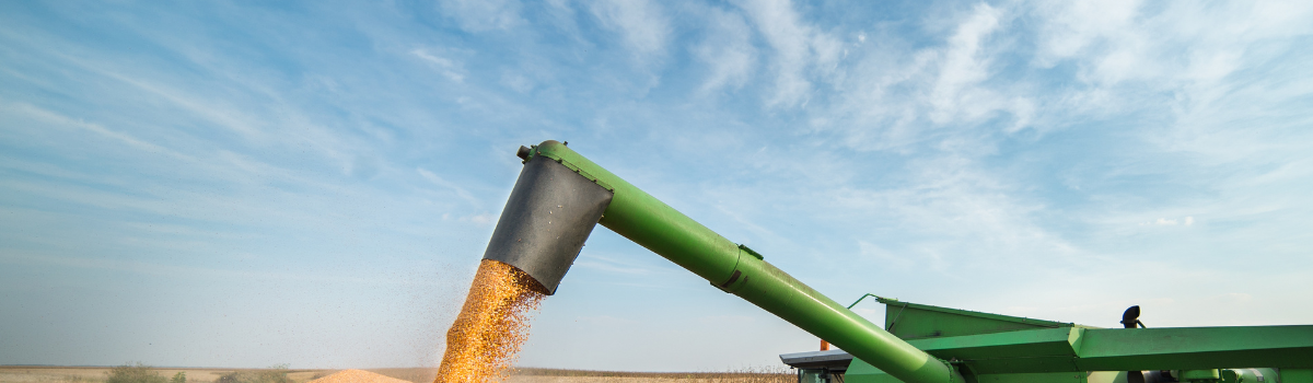 4 Grain Farm Risks and How to Minimize Them