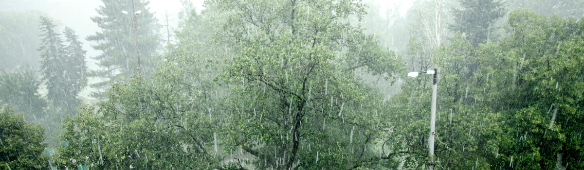 Understanding Your Wind/Hail Deductible