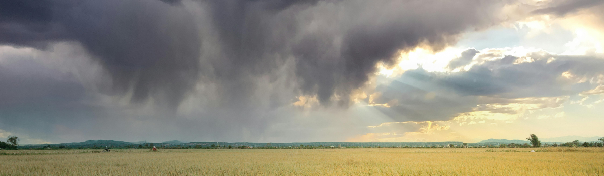 Spring Storm Safety Tips for Businesses