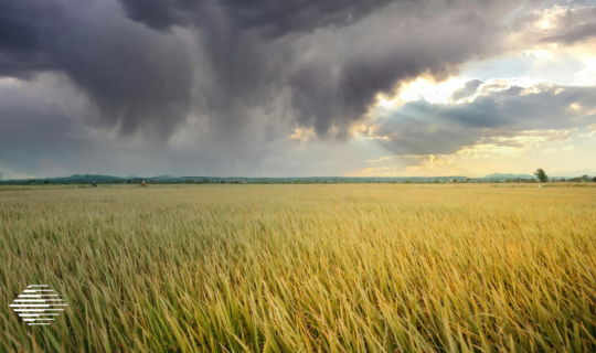 Spring Storm Safety Tips for Businesses