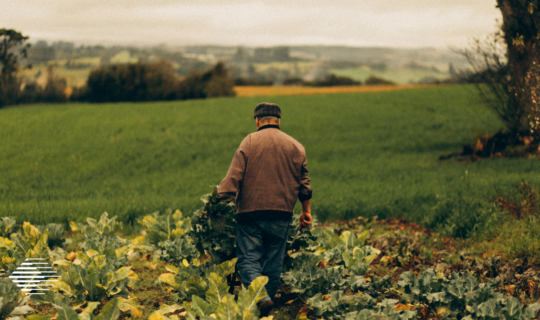 Why Workers’ Compensation Coverage Matters for Farmers