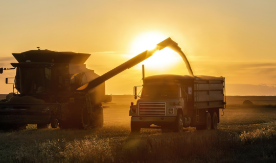 How Much Liability Coverage Does Your Farm Need?